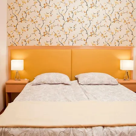 Apartma Sonce Balkonce Guest house